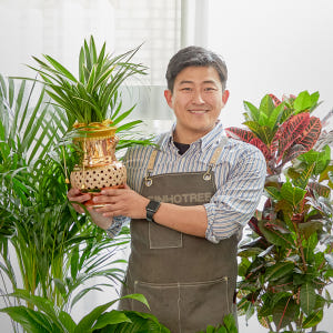 동양란 서양란 영전 승진 취임 개업화분 호접란 만천홍 축하난 고급 식물선... 솔직 후기 | 실사용자 리뷰 분석 - 상품 이미지 1