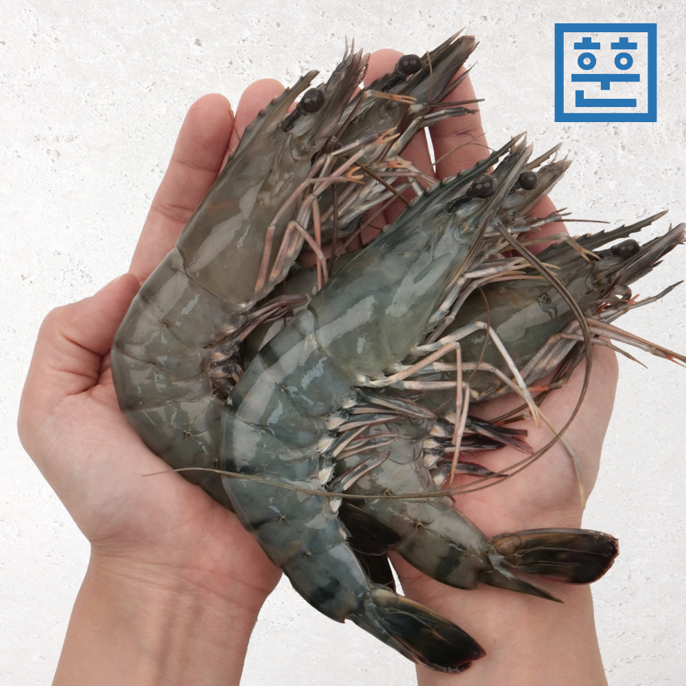 훈훈수산 블랙타이거새우 500g 1팩