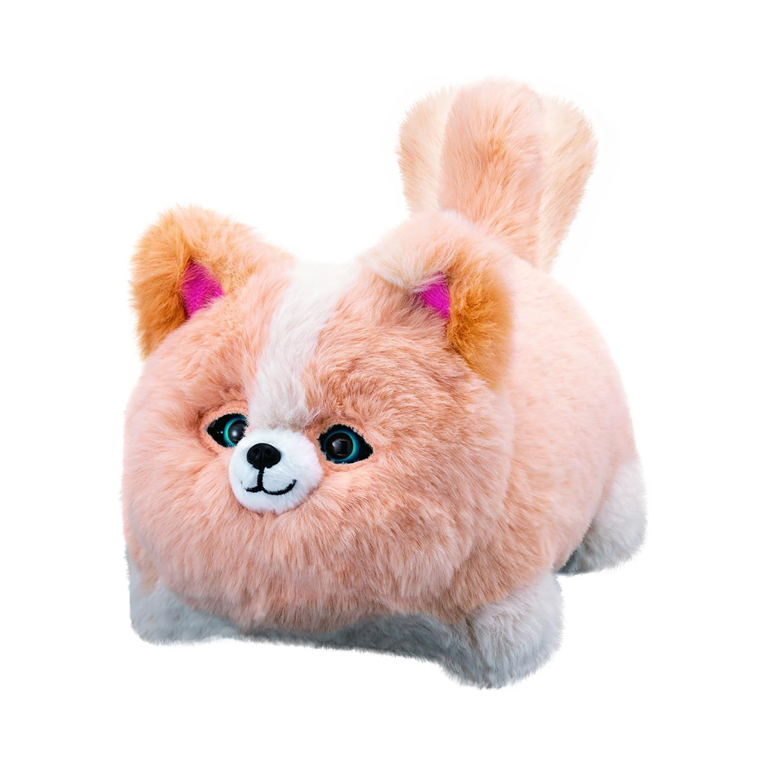 아가츠마 완다키미와 움직이는 강아지 봉제인형 애프리콧