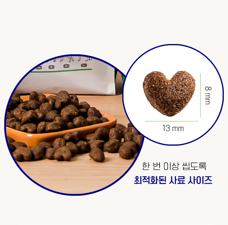 [딩고나투라] 딩고 강아지사료 하이포알러제닉 홀리스틱 치킨, 3kg, 4개 - 상세 이미지 2