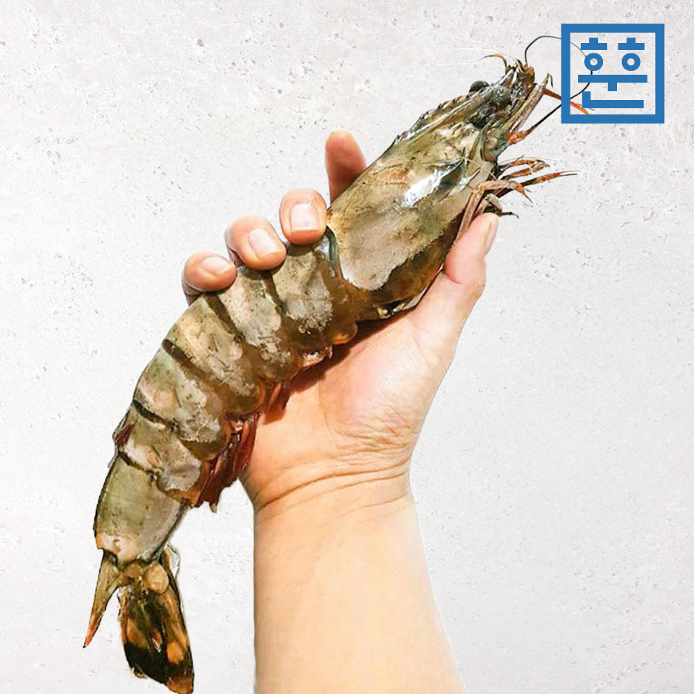 킹 블랙타이거새우 1kg (킹타이거새우)