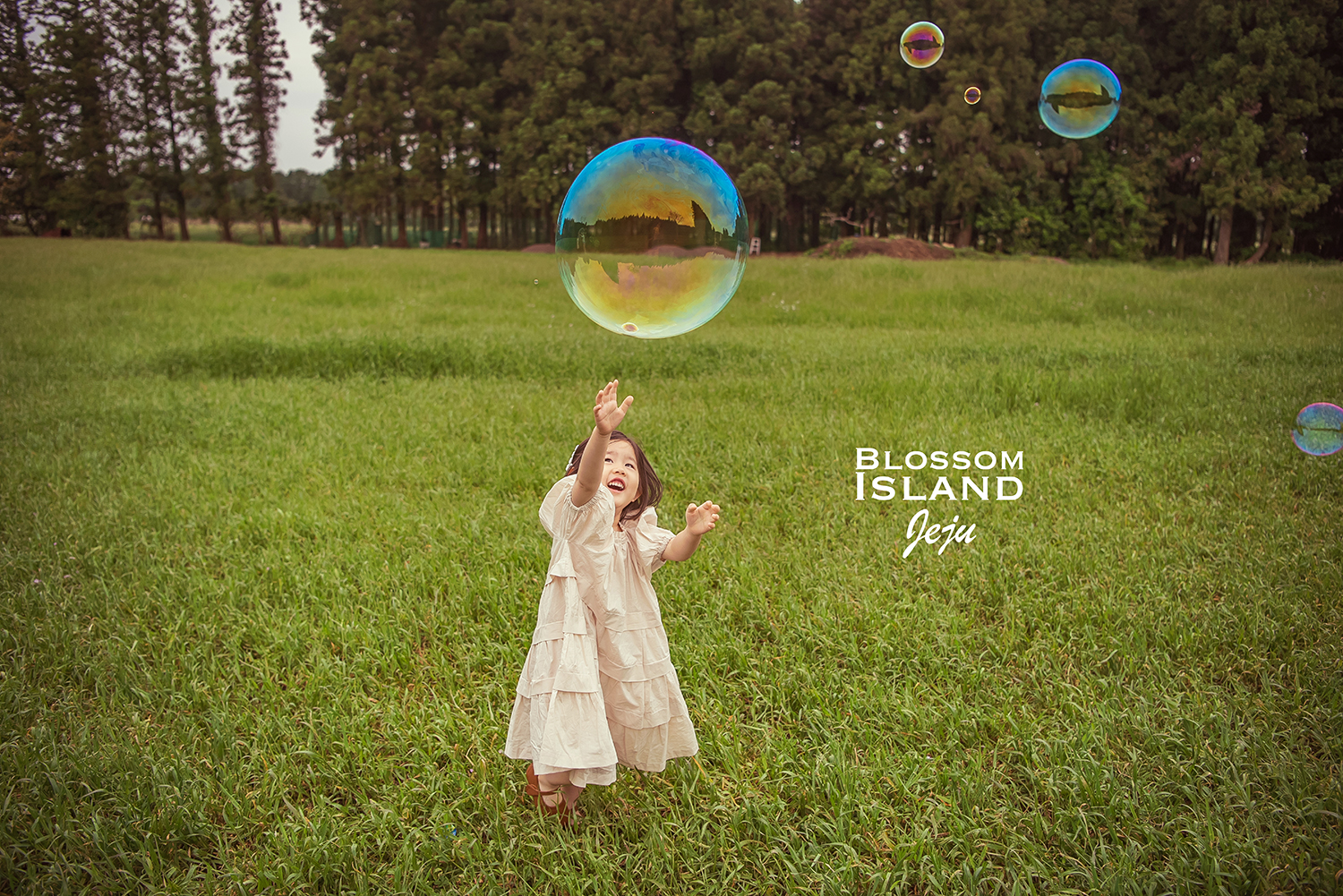 제주도 성장 아이 아기 야외스냅 돌 베이비 키즈 주니어 프로필 피크닉세트소품 앨범 액자