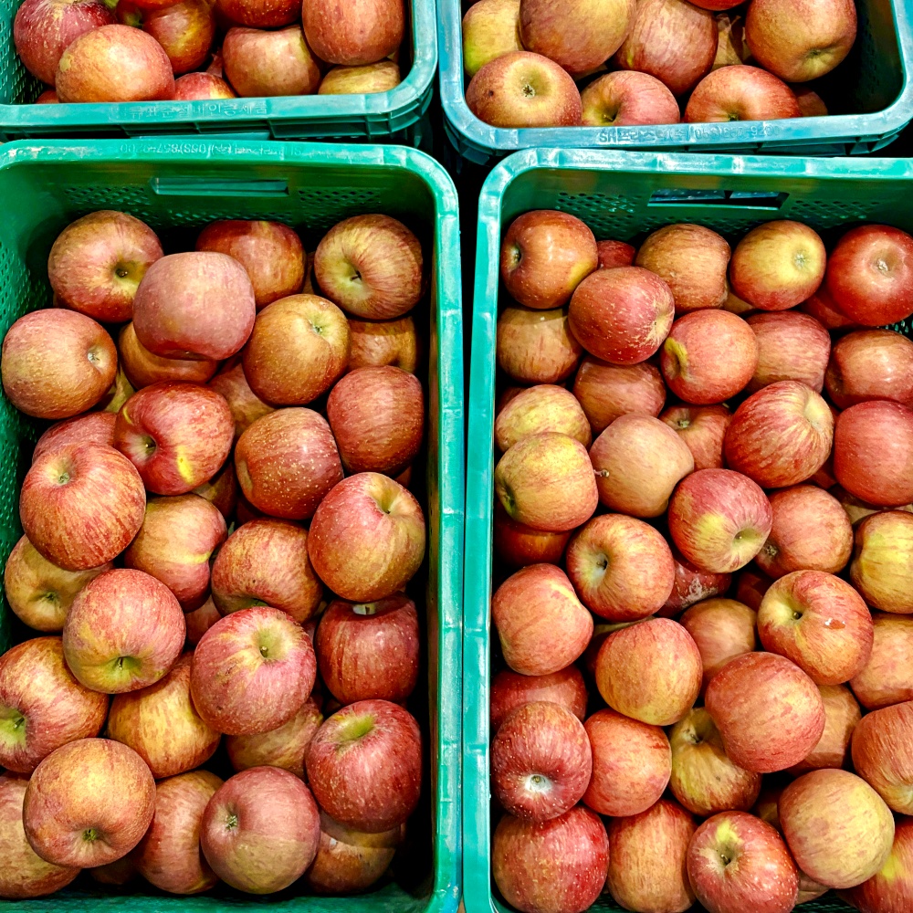 쥬스용 주스용 홍로 감홍 부사 사과 2kg 3kg 5kg 10kg 못난이 가정용 흠집