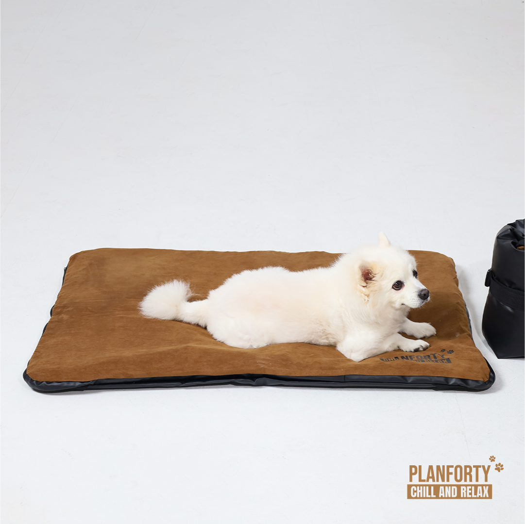 플랜포티 D-MAT 애견침대 해먹 강아지쇼파 펫베드