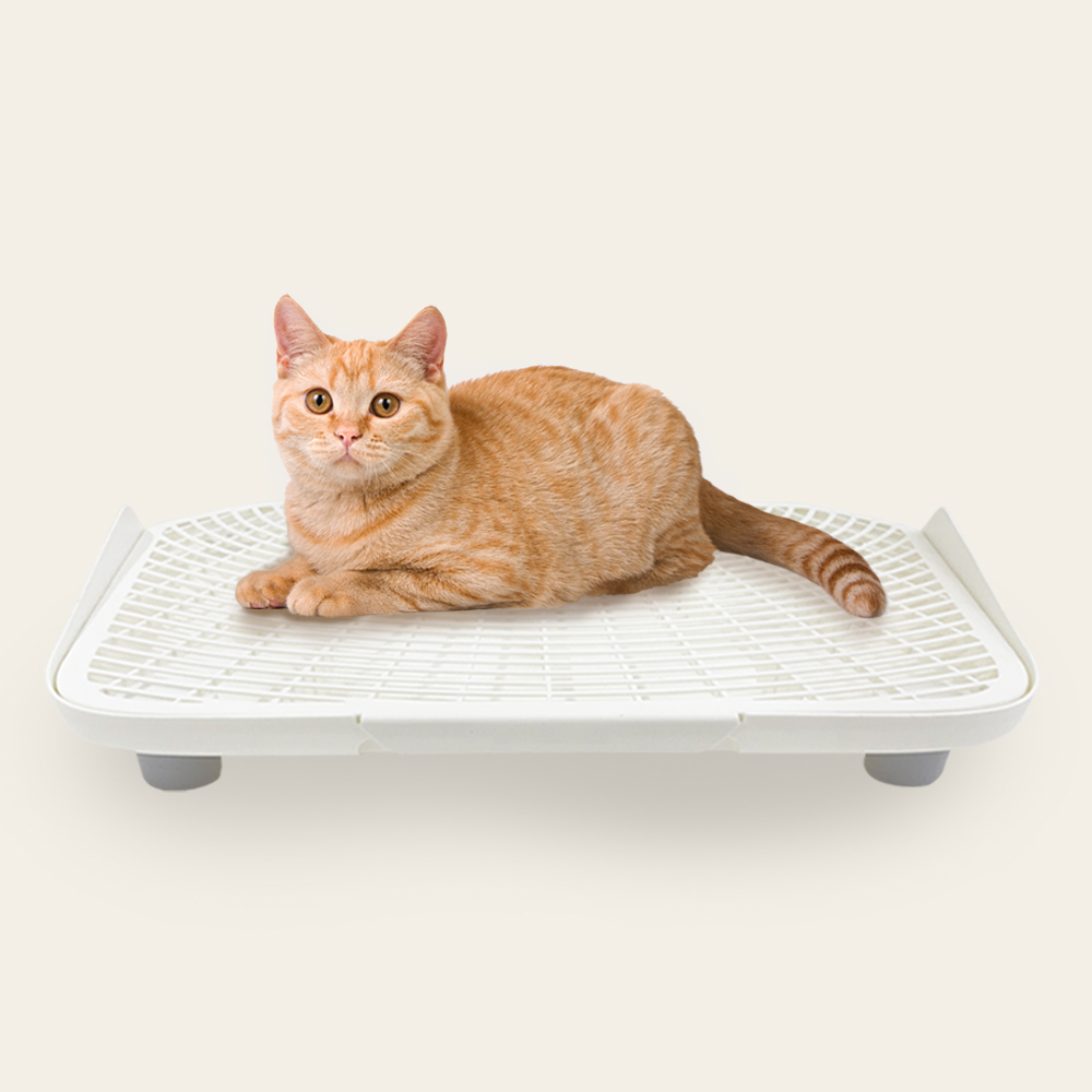 펫쭈 고양이 모래매트 발판 사막화방지 화장실 화이트