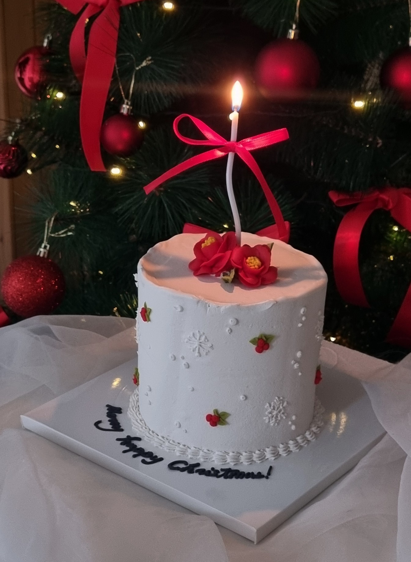 https://shop-phinf.pstatic.net/20241122_199/1732207008744fGpa7_JPEG/11789206731422155_609263027.jpg