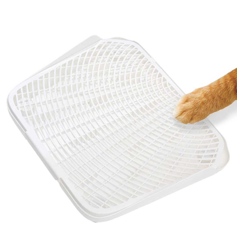 펫쭈 고양이 모래매트 발판 사막화방지 화장실 화이트