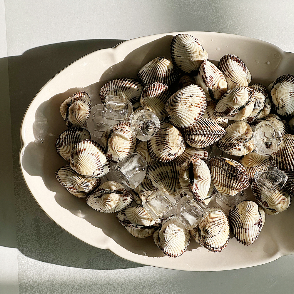 꼬막 제철 벌교 새꼬막 생꼬막 남도 1kg 약 110미