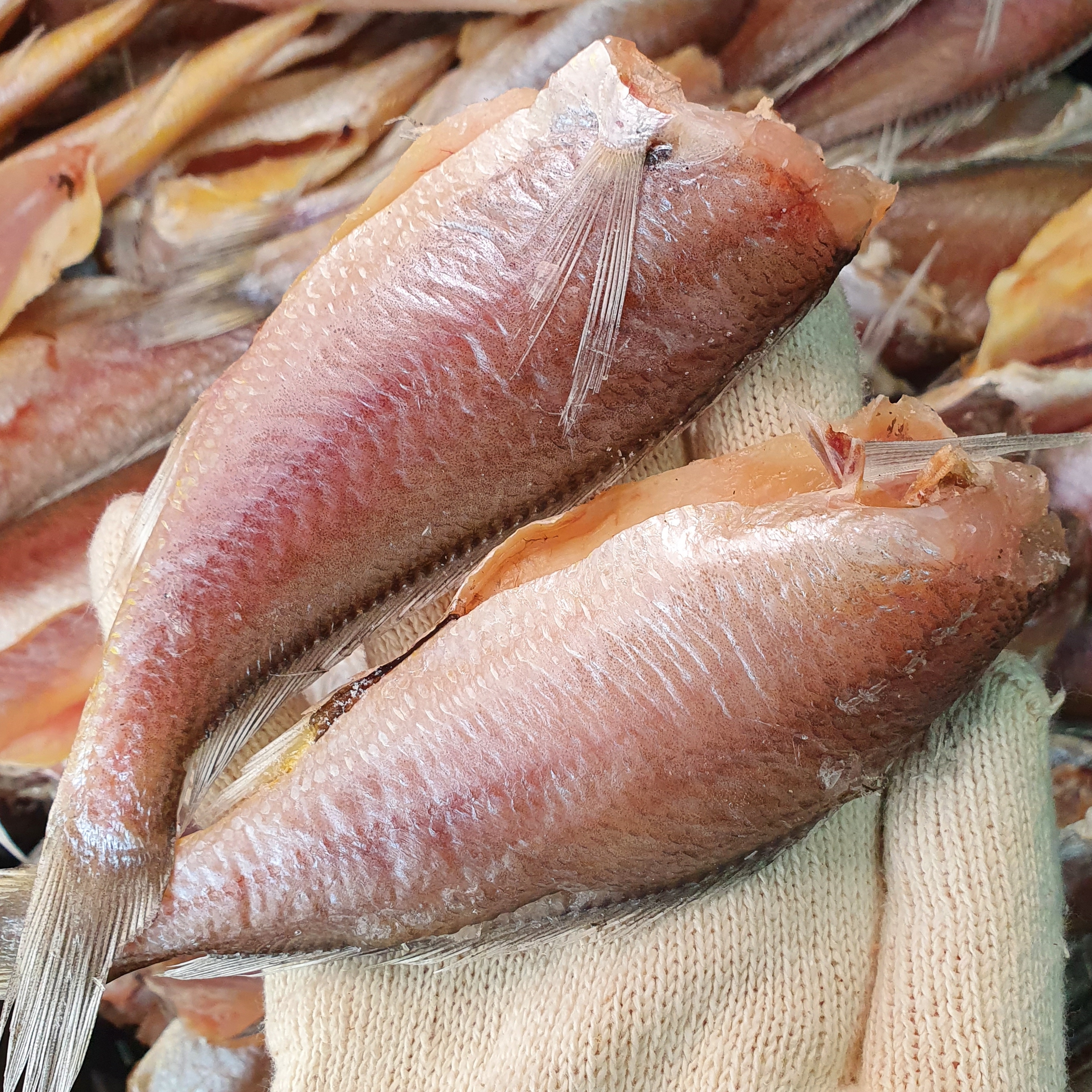 반건조 손질조기 참조기 500g 1kg 목포 두절조기 순살생선 제품 이미지