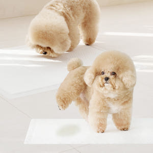 텍미홈 천연펄프 프리미엄 강아지 배변패드 표준형 (60매x4팩) 솔직 후기 | 실제 사용자 리뷰 총정리 - 상품 이미지 3