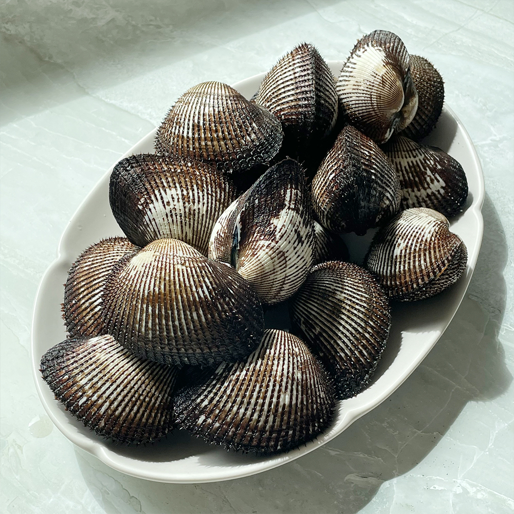 꼬막 제철 벌교 새꼬막 생꼬막 남도 1kg 약 110미 - 상세 이미지 4