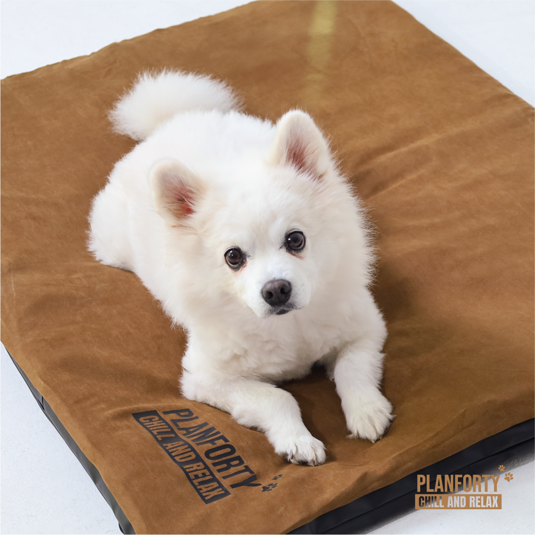 플랜포티 D-MAT 애견침대 해먹 강아지쇼파 펫베드