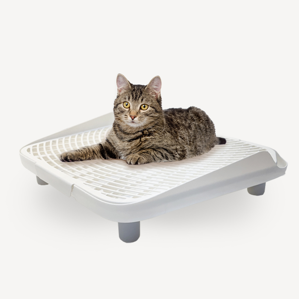 펫쭈 고양이 모래매트 발판 사막화방지 화장실 화이트