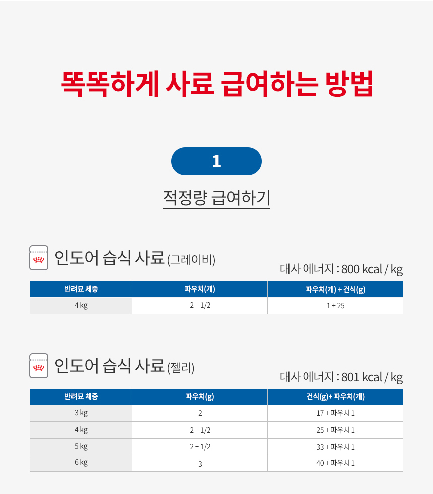 로얄캐닌 캣 인도어 젤리, 85g, 12개 이미지 8