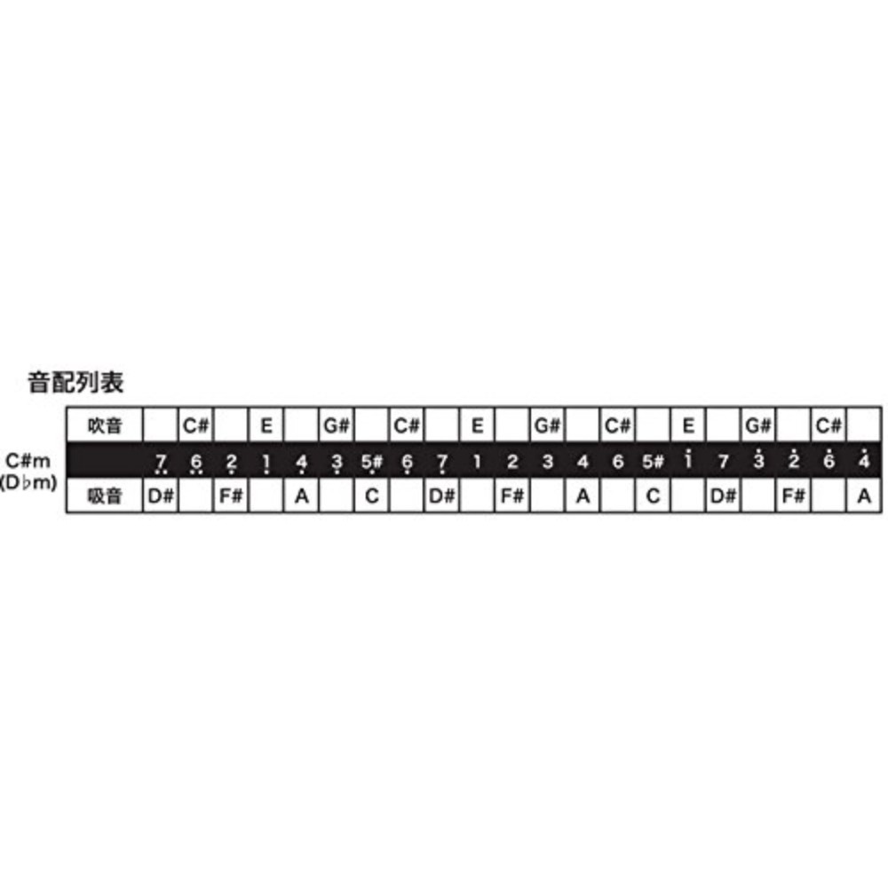 톰보 TOMBO 복음 하모니카 프리미엄 21홀 3521 - 상세 이미지 4