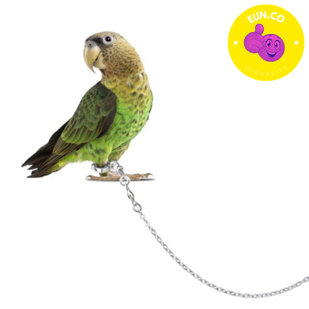 앵무새 고정 줄 새산책 애완 조류 리드줄 잉꼬 펫용품