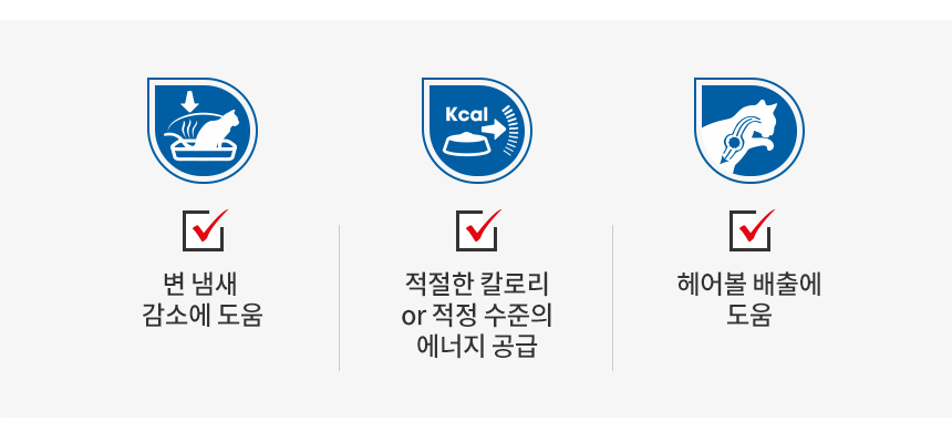 로얄캐닌 캣 인도어 젤리, 85g, 12개 - 상세 이미지 4
