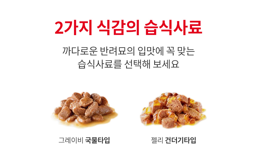 로얄캐닌 캣 인도어 젤리, 85g, 12개 이미지 6
