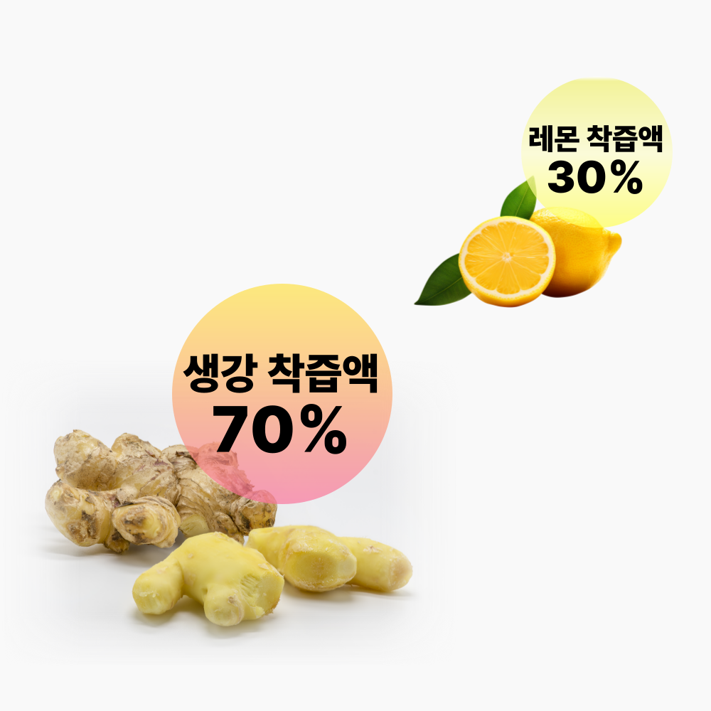 홀베리 그대로 짜낸 유기농 레몬생강즙 14포 x 6박스 84포 생강착즙 이미지 8
