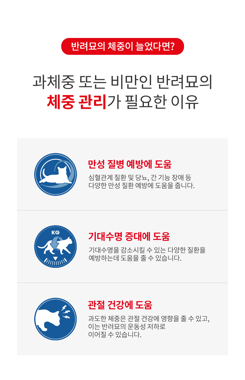 로얄캐닌 캣 라이트 웨이트케어 젤리, 85g, 12개 - 상세 이미지 5