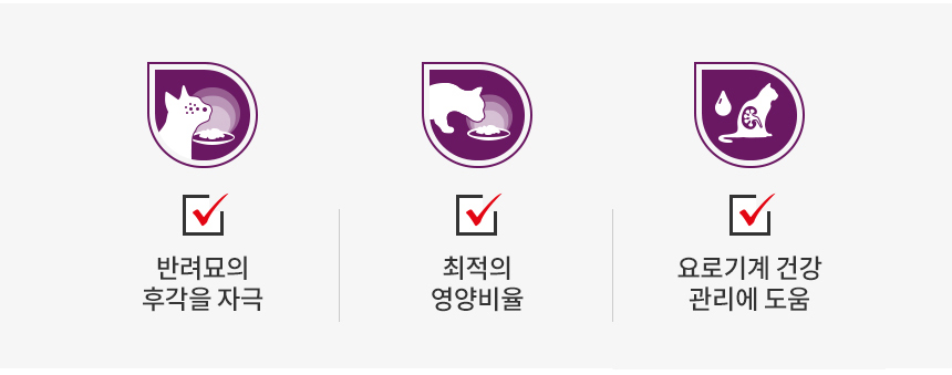 로얄캐닌 캣 센서리 그레이비 파우치 스멜, 85g, 12개 - 상세 이미지 5