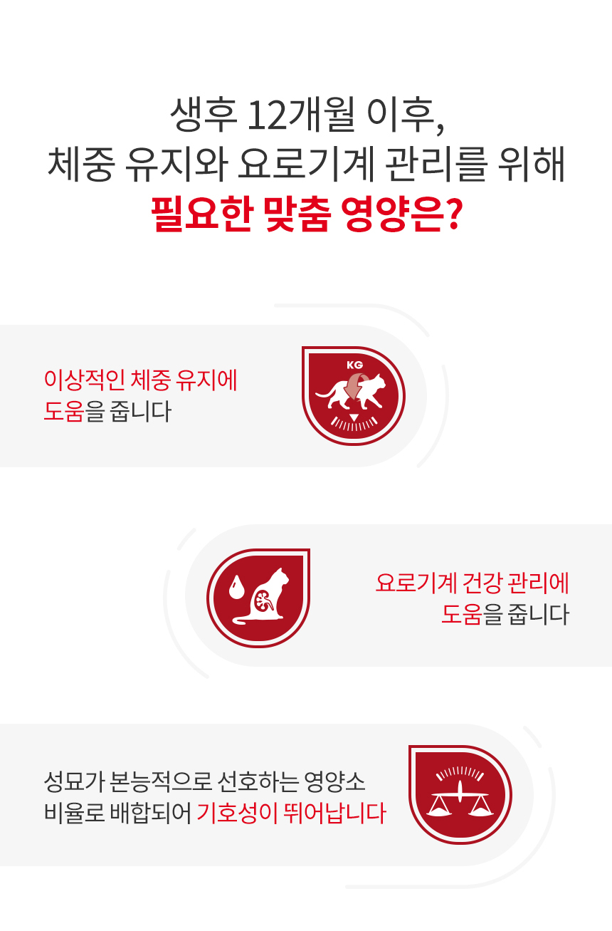 로얄캐닌 캣 인스팅티브 젤리, 85g, 12개 - 상세 이미지 5