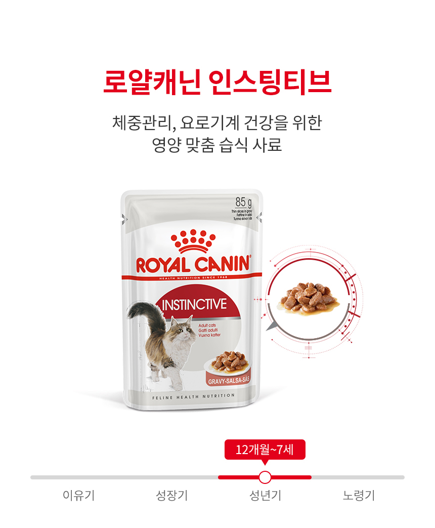 로얄캐닌 캣 인스팅티브 젤리, 85g, 12개 - 상세 이미지 3