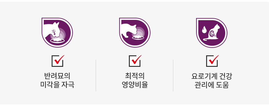 로얄캐닌 캣 센서리 그레이비 파우치 테이스트, 85g, 12개 - 상세 이미지 5