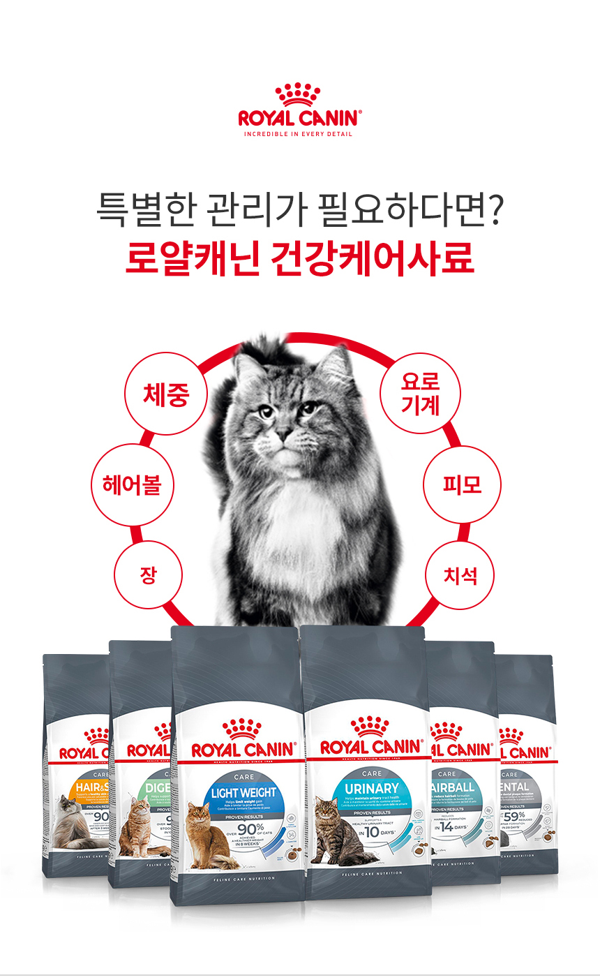 로얄캐닌 캣 헤어앤스킨 케어 그레이비, 85g, 12개 - 상세 이미지 3
