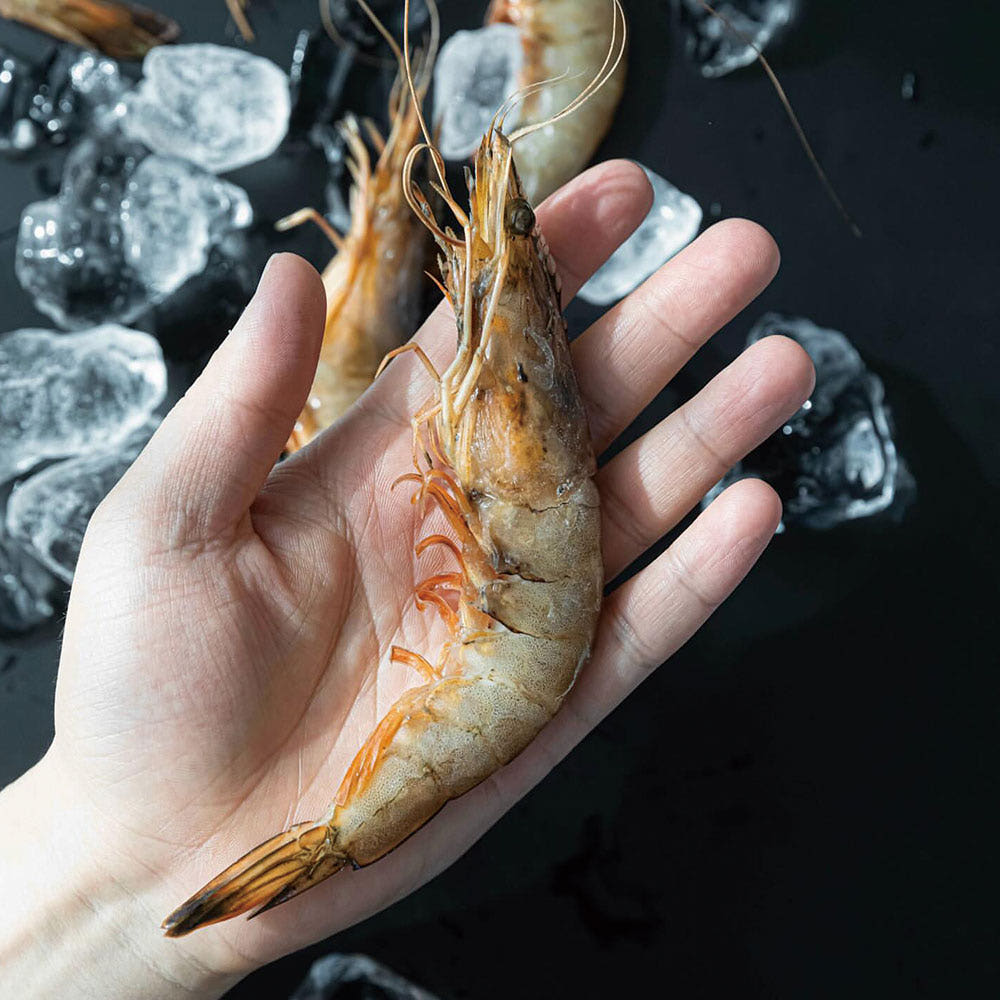 국내산 서해안 자연산 냉동 대하 1kg 수산물 캠핑요리 새우구이 감바스 - 상품 이미지
