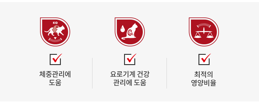 로얄캐닌 캣 인스팅티브 젤리, 85g, 12개 - 상세 이미지 4