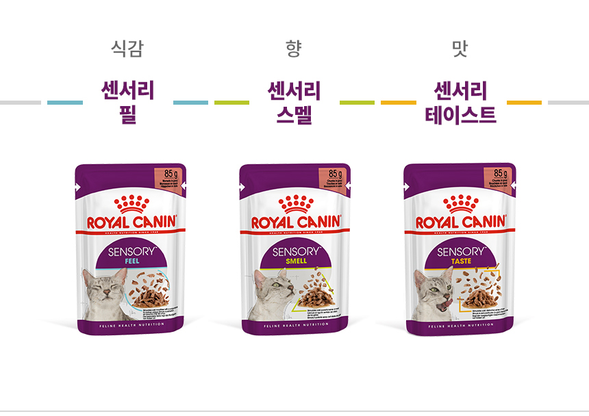 로얄캐닌 캣 센서리 그레이비 파우치 테이스트, 85g, 12개 - 상세 이미지 3