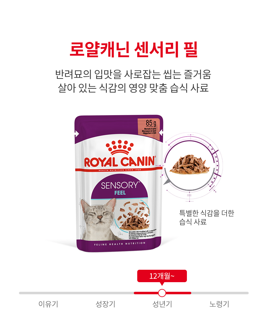 로얄캐닌 캣 센서리 그레이비 파우치 필, 85g, 12개 - 상세 이미지 4