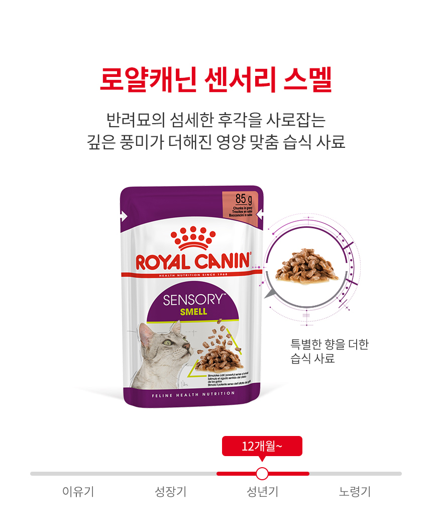 로얄캐닌 캣 센서리 그레이비 파우치 스멜, 85g, 12개 - 상세 이미지 4
