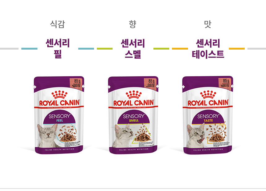 로얄캐닌 캣 센서리 그레이비 파우치 스멜, 85g, 12개 - 상세 이미지 3
