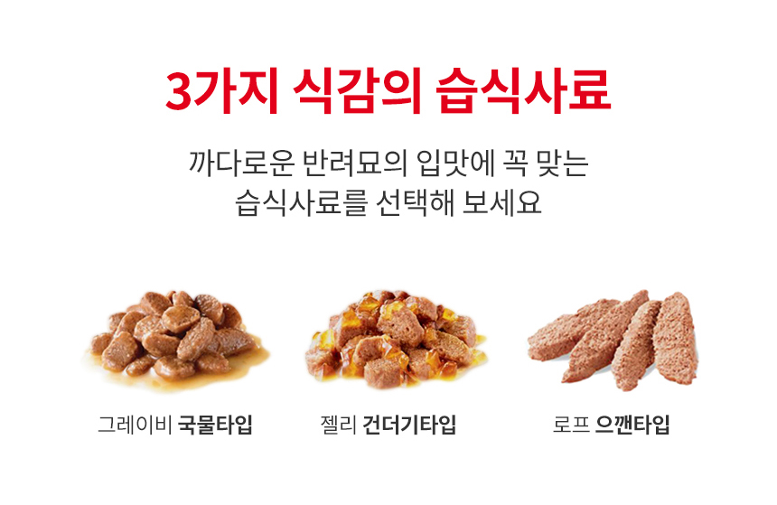 로얄캐닌 캣 스테럴라이즈드 그레이비, 85g, 12개 이미지 7