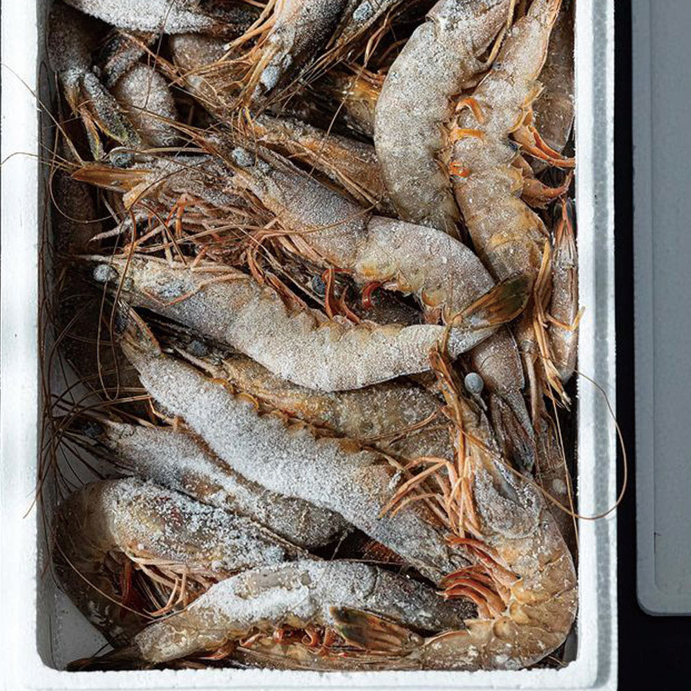 국내산 서해안 자연산 냉동 대하 1kg 수산물 캠핑요리 새우구이 감바스 - 상세 이미지 4