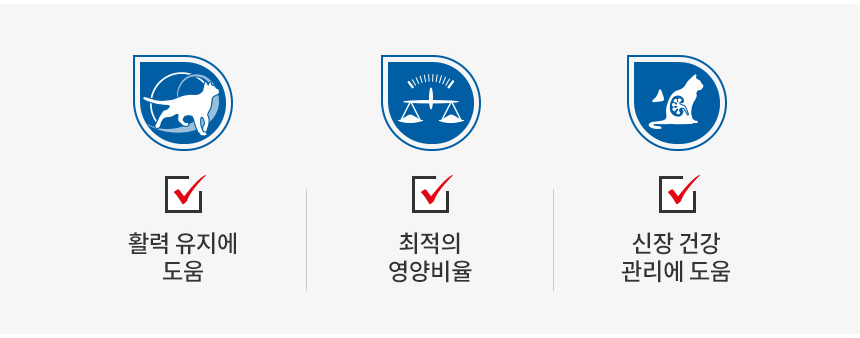로얄캐닌 캣 인도어 7+ 젤리, 85g, 12개 - 상세 이미지 5