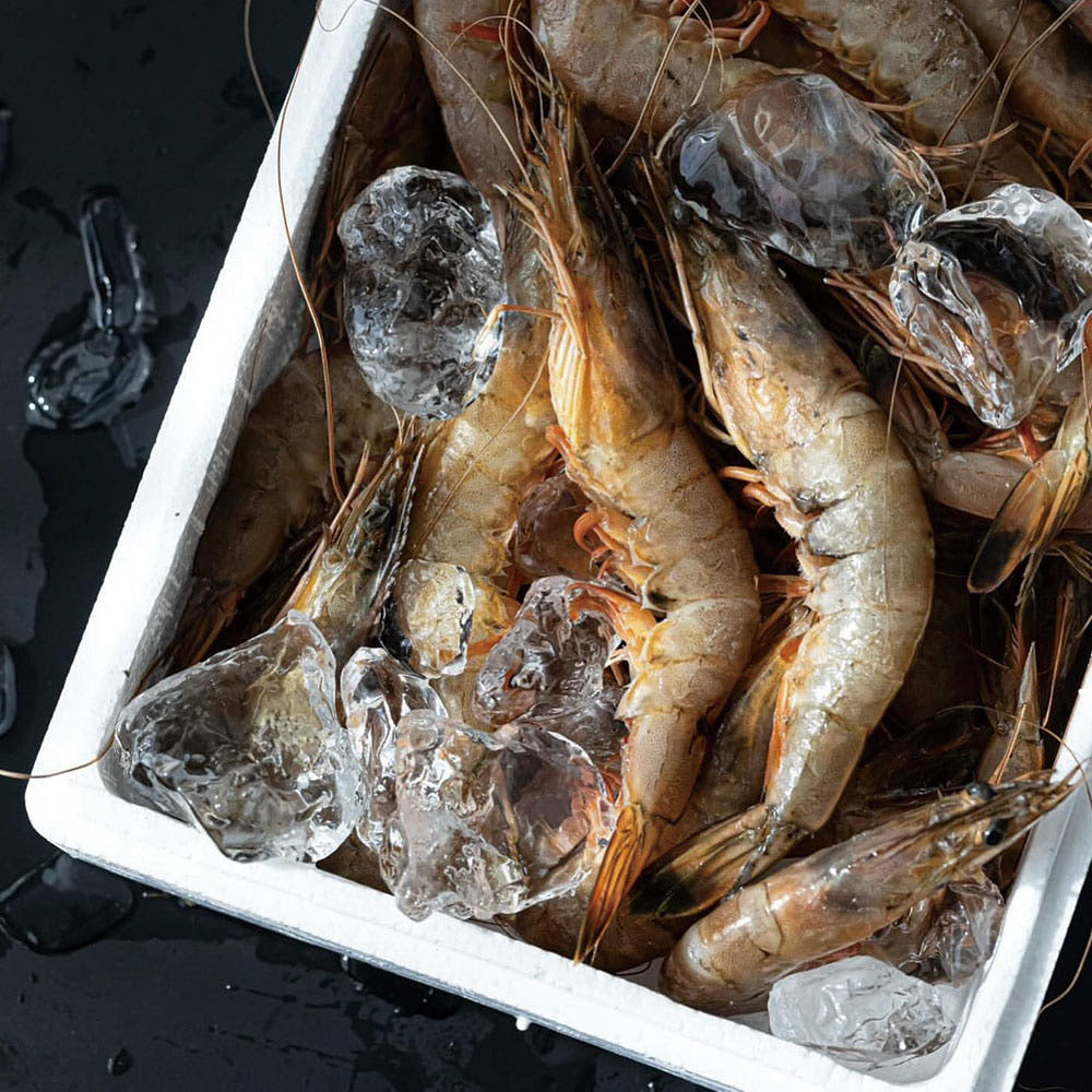 국내산 서해안 자연산 냉동 대하 1kg 수산물 캠핑요리 새우구이 감바스 - 상세 이미지 3
