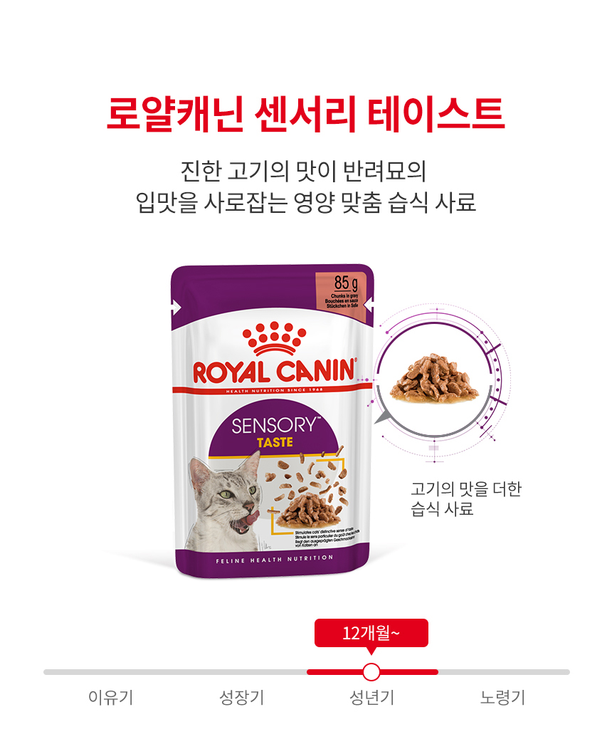 로얄캐닌 캣 센서리 그레이비 파우치 테이스트, 85g, 12개 - 상세 이미지 4