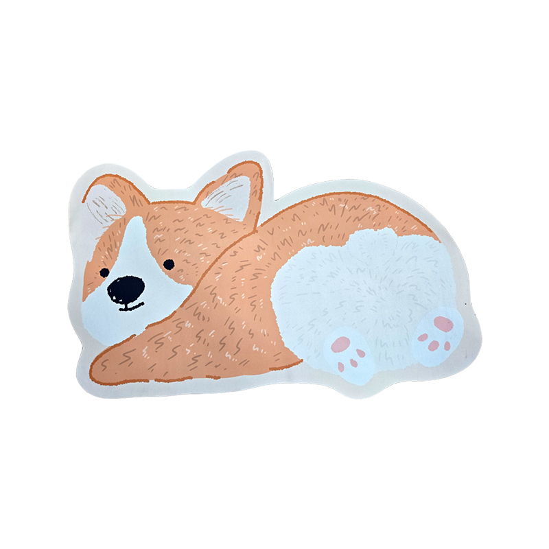 뷰레이터닷컴 강아지 규조토 발매트 빨아쓰는 욕실 주방 화장실 매트 40x60