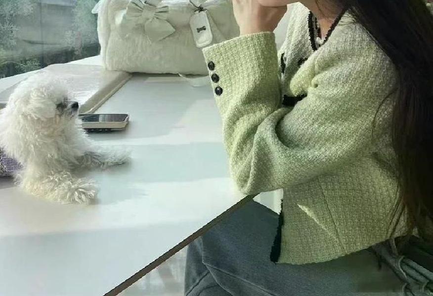 무료반품 트위드 자켓 여성 재킷 하이 엔드 우아한 사교계 크롭 탑 봄 패션 짧은 겉옷 Light Green S - 상세 이미지 5