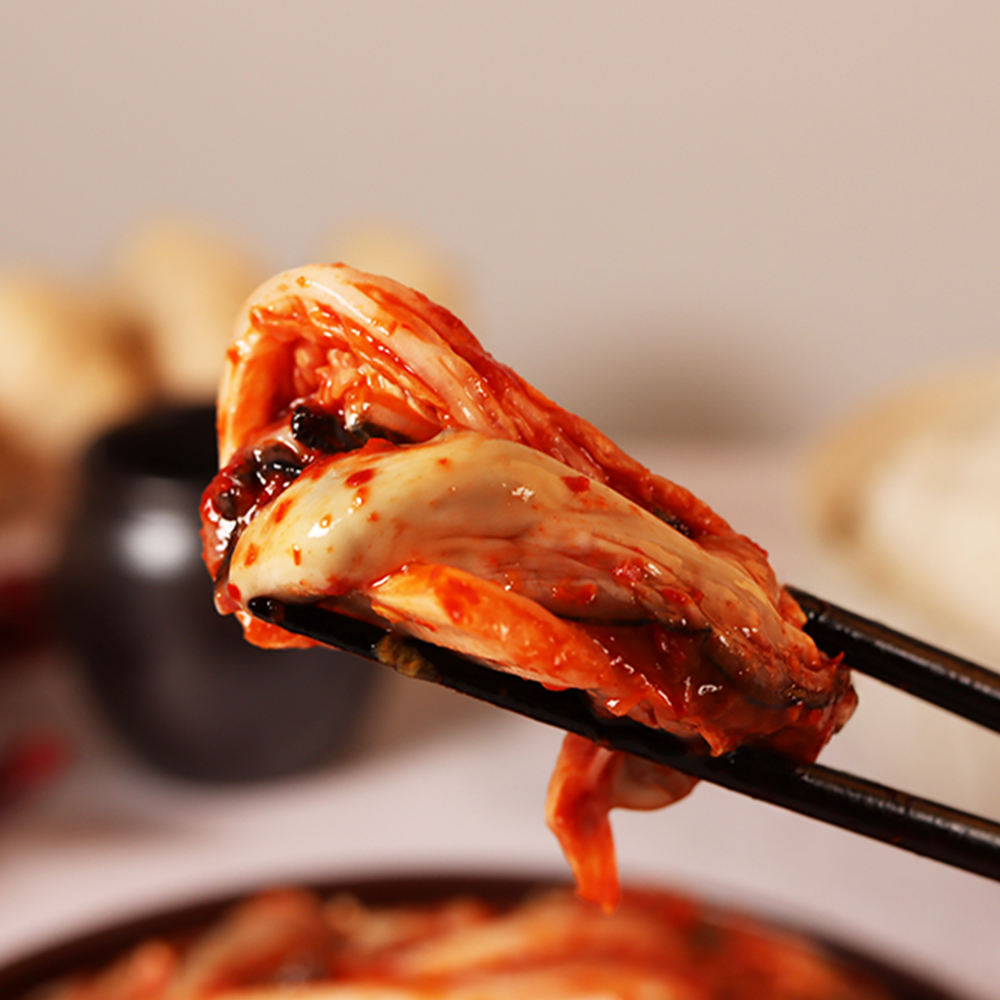 맛있는 수제 전라도 가정식 국내산 백김치 2kg