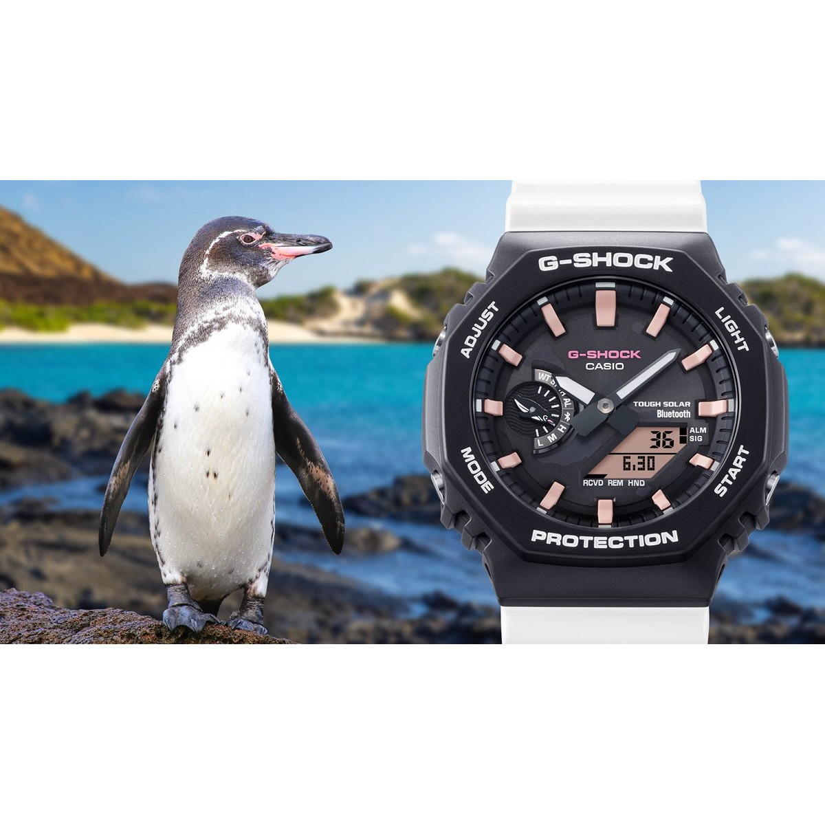 카시오 CASIO 지샥 갈라파고스 펭귄 GA-B2100CD-1A7 남자 손목 시계 - 상세 이미지 2