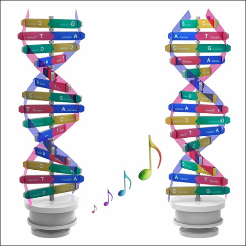 DNA 입체 모형 회전 오르골 만들기 (11.5x38cm) 유전자 구조 오르골 디엔에이 : 모두 도매