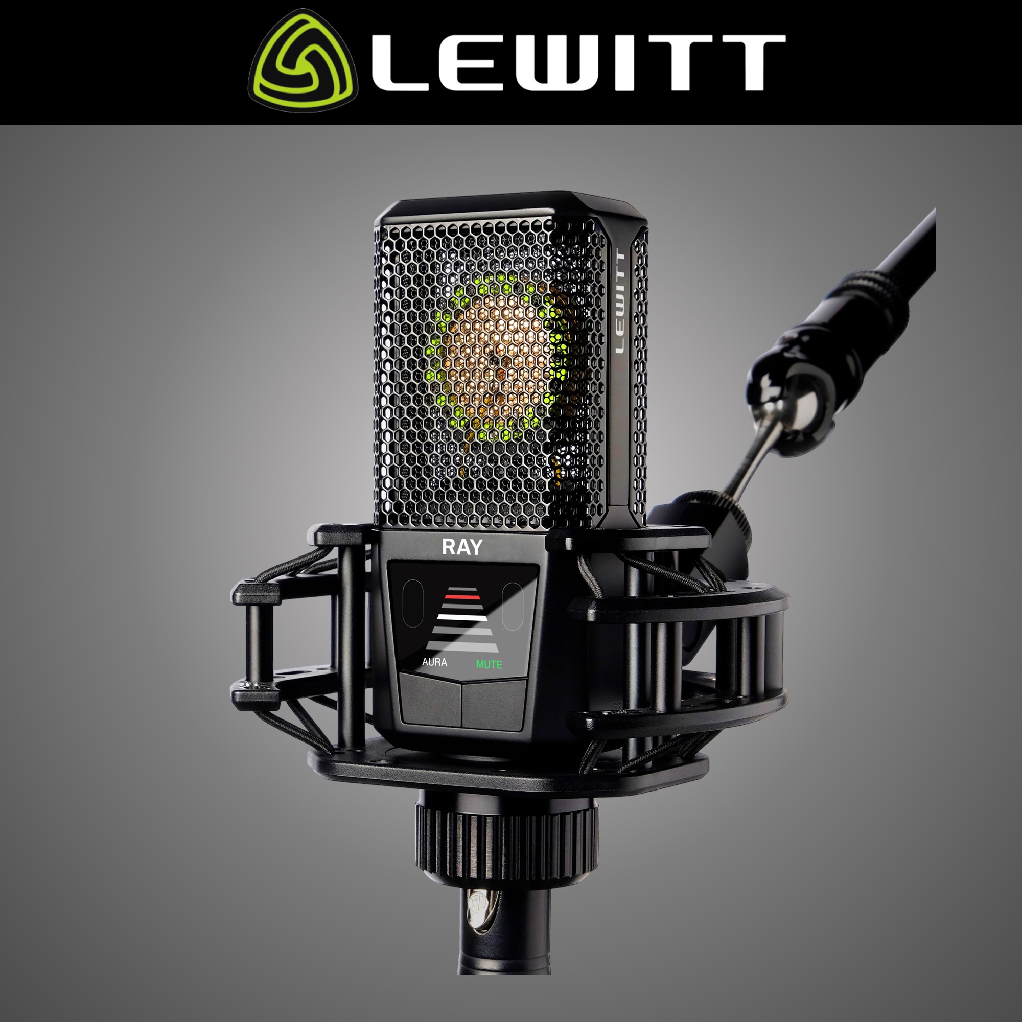 LEWITT RAY 르윗 레이 오토포커스 콘덴서 마이크 녹음용 방송용