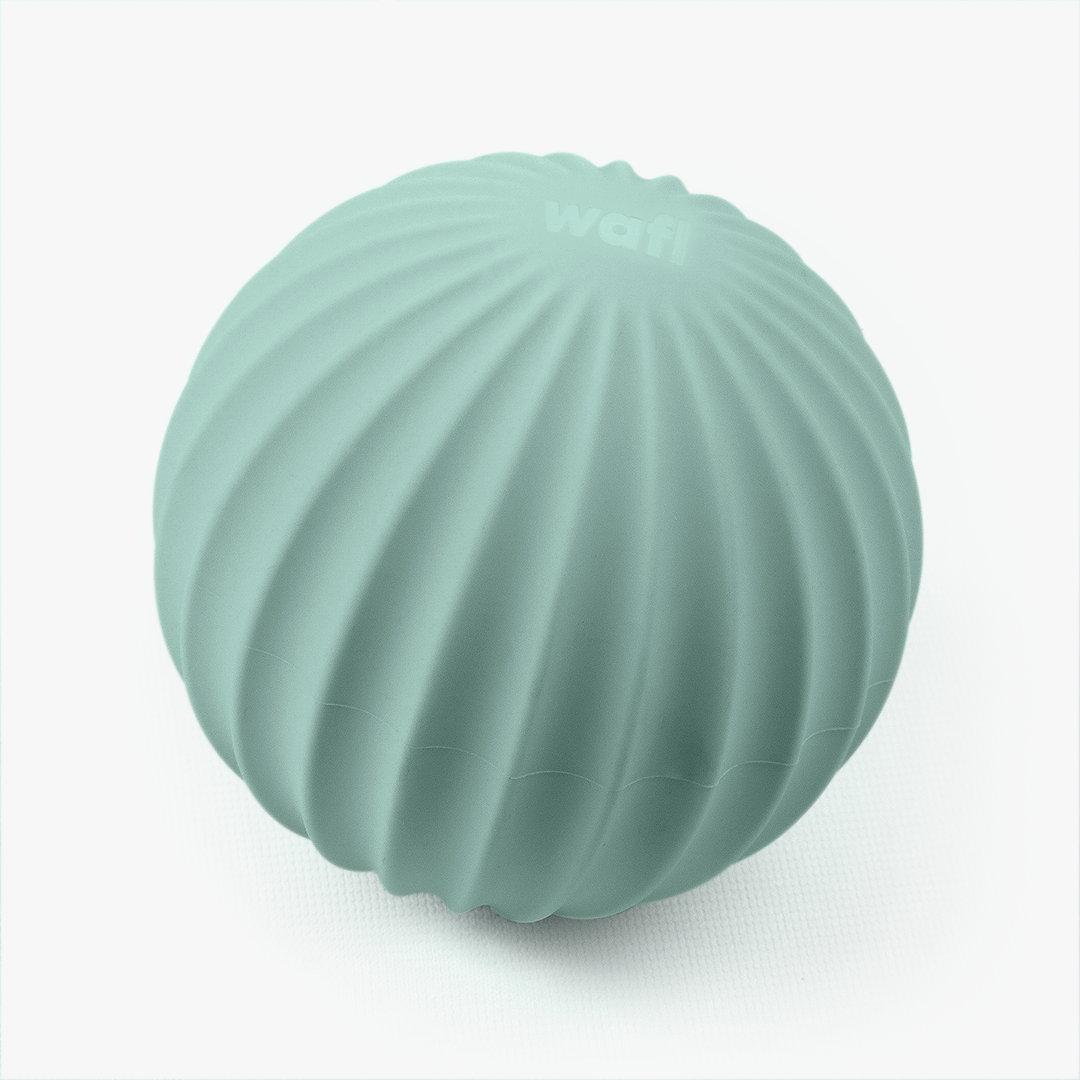 wafl 웨이트볼 1.5kg 실리콘 메디슨볼 재활 중량볼 이미지 6