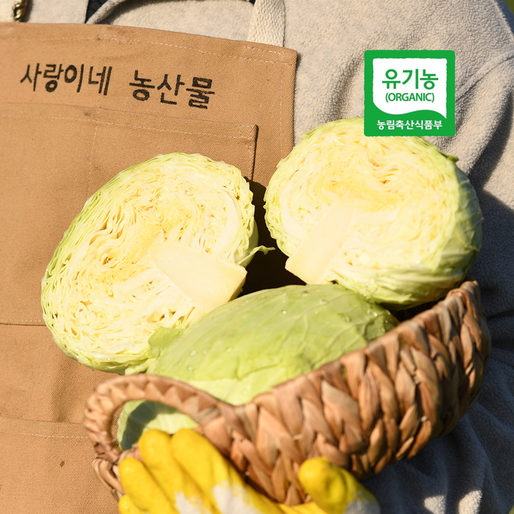 제주 3대째 유기농 농장 양배추 브로콜리 친환경 무농약 제주오가닉-3kg 6kg - 상세 이미지 2