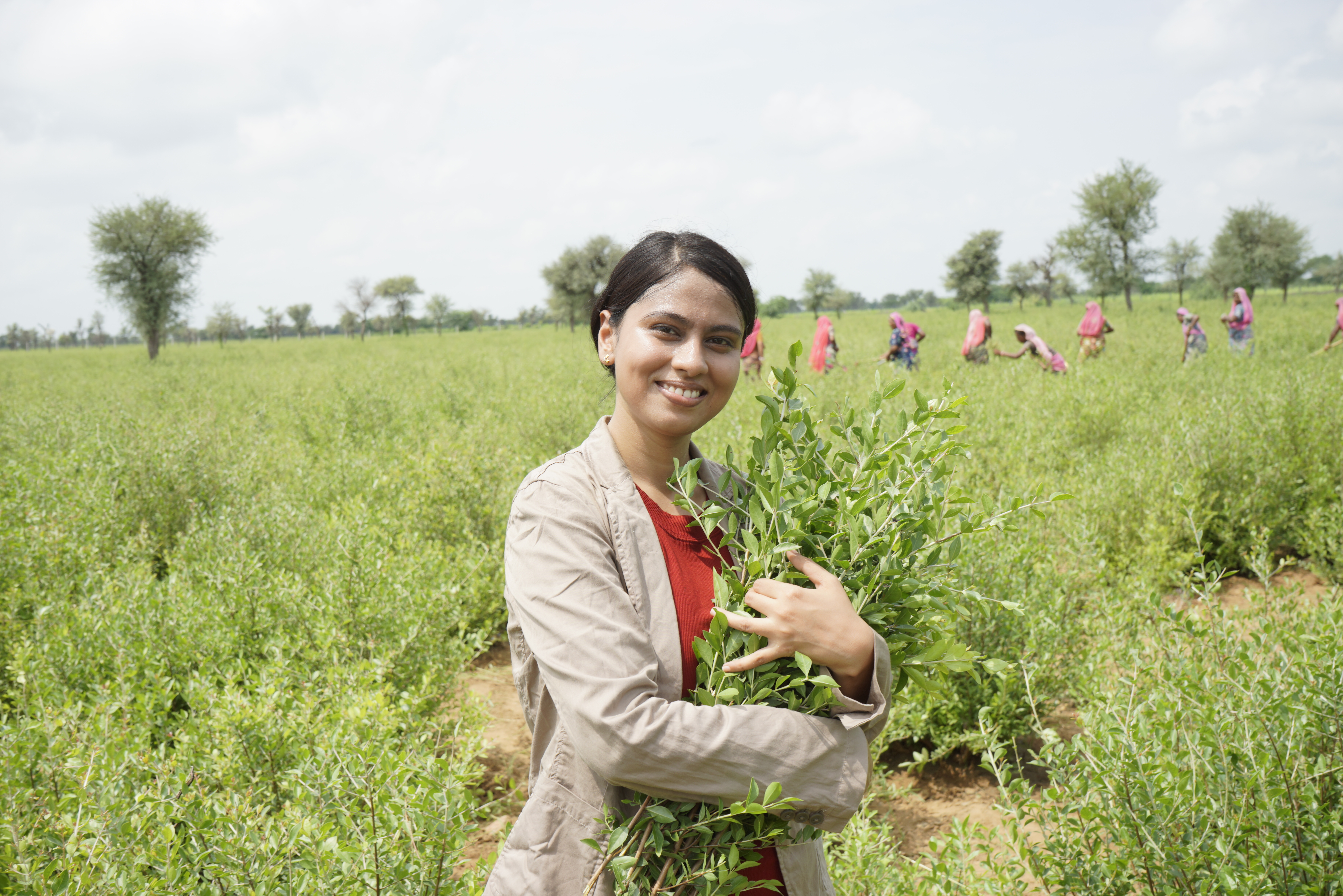 새치 헤나 염색약 유기농 비건 천연 염색약 가루 1개