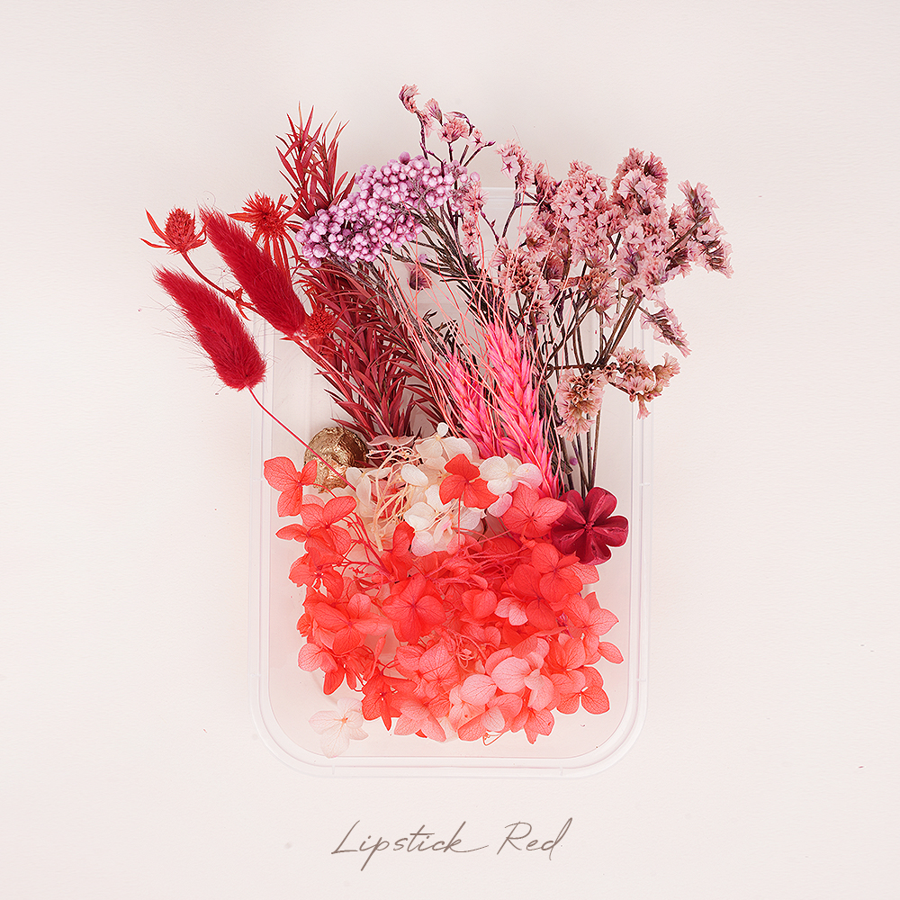 드라이 프리저브드 플라워 말린꽃 시들지 않는 꽃 프레스코21 보존화 종합팩 어텀브리즈 이미지 2